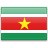 Register domains in Suriname