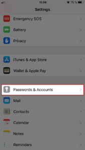 From the Home screen go to Setting. Next choose Passwords and Accounts.